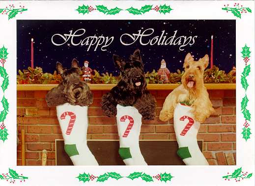 card