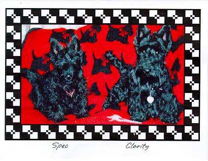 card