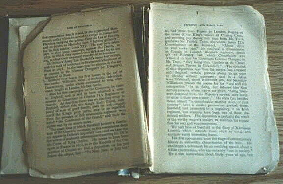 Biography of Patrick Sarsfield, Earl of Lucan