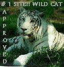 Wild Cat Award