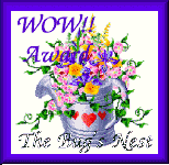 WOW Award