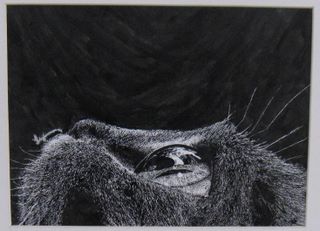 Work by Cristina Ley, Third Place, Youth Creates 2008