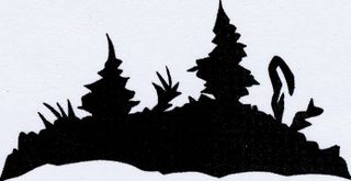 Spruce, silhouette by Annegret Goehring
