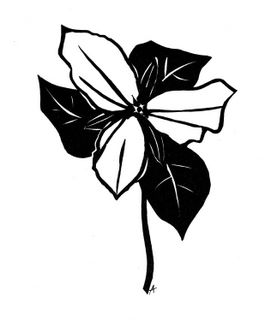 Trillium, silhouette by Annegret Goehring