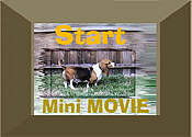 Start SCOOTERcam MOVIE