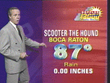 Weather watcher video clip