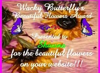 Award