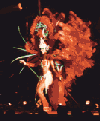 Brasil Dance Spectacle