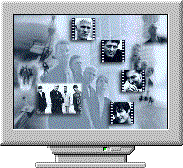 That's Why (MTV)