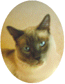 bevcaesaroval2.gif (8703 bytes)
