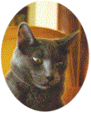 bevsmokeyoval.gif (9543 bytes)