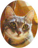 bevsweetieoval.gif (10095 bytes)