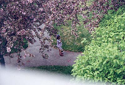 &copy; Sylvie Lesieur