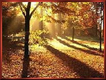 Dreamy Autumn