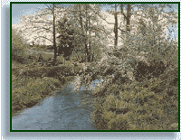 Natural Bridge -By Wallace Nutting.