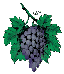 grapes1.gif (2821 bytes)