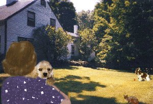 My own composition of Gladys in her garden.
