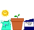 Animated plant-pot and sun
