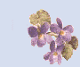 Small violet