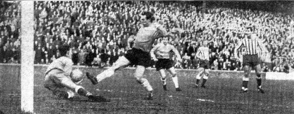 millwall3.jpg (67414 bytes)