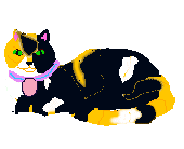 Flower the Cat