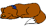 Ginger the Dog
