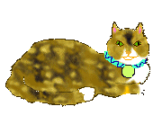 Kitty the Cat