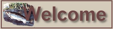 Border 1