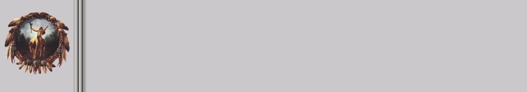 Shield Background