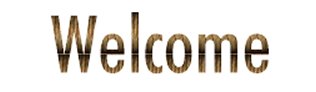 Lattice Border 1