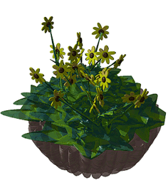 star dust flowers