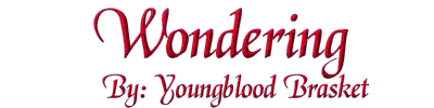 Wondering  By: Youngblood Brasket
