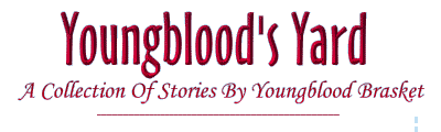Youngblood's Yard  A collection of stories by Youngblood Brasket