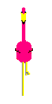 
Flamingo Macarena