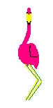  Flamingo Twist