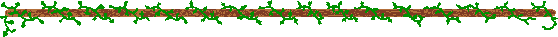 Ivy Vine