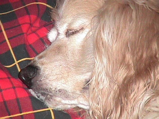 ZZZZZZZZZzzzzzzzzzzzzz