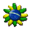 ICQ  Vista