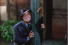 gene262.jpg (8853 bytes)