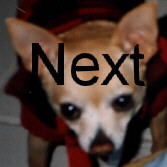 Next
page