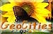 Geocities Image