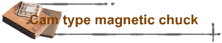 Cam type magnetic chuck