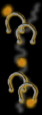 Tony's hoofprints in the dark.