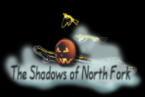 The Shadows of North Fork