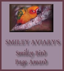 Smiley Bird Page Award