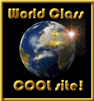 World Class Cool Award