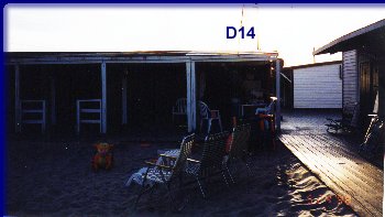 D14