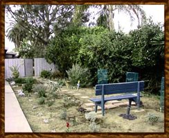 Mary's Garden