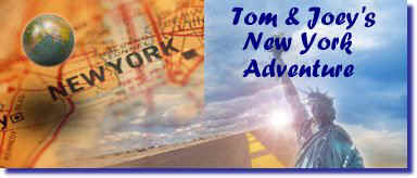 Tom & Joey's New York Adventure