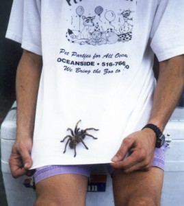 Timmy the Tarantula